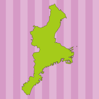 三重県の地図（詳細版・リアル）のイラスト【色、背景あり】PNG
