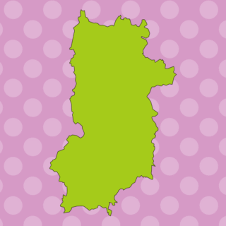 奈良県の地図（詳細版・リアル）のイラスト【色、背景あり】PNG