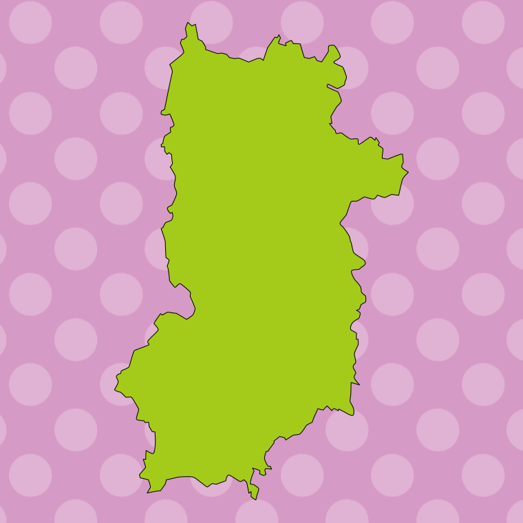 奈良県の地図（詳細版・リアル）のイラスト【色、背景あり】PNG