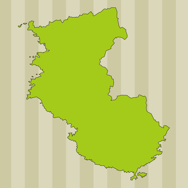 和歌山県の地図（詳細版・リアル）のイラスト【色、背景あり】PNG