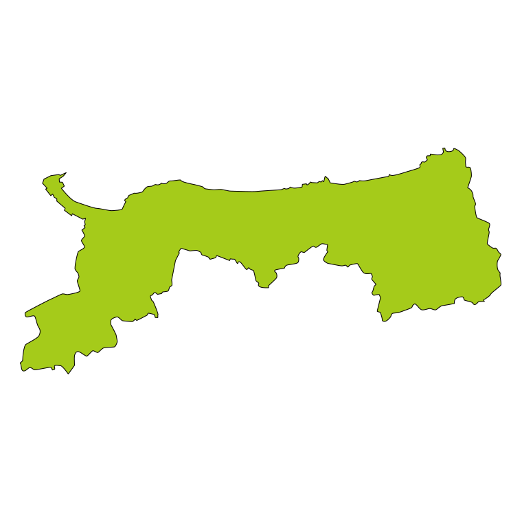 鳥取県の地図（詳細版・リアル）のイラスト【色あり、背景なし】透過PNG