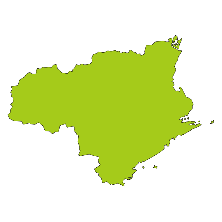 徳島県の地図（詳細版・リアル）のイラスト【色あり、背景なし】透過PNG
