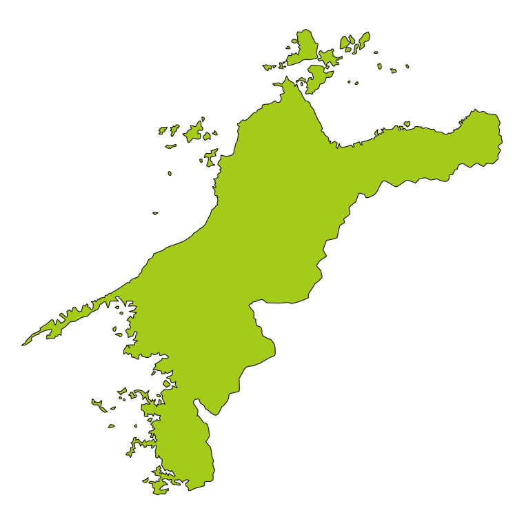 愛媛県の地図（詳細版・リアル）のイラスト【色あり、背景なし】透過PNG