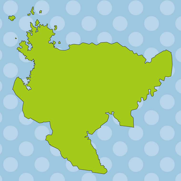 佐賀県の地図（詳細版・リアル）のイラスト【色、背景あり】PNG