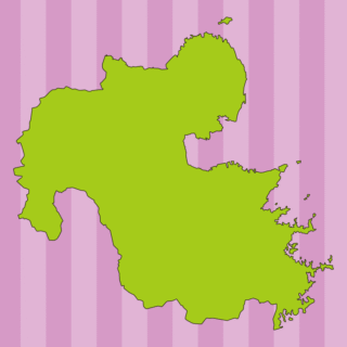 大分県の地図（詳細版・リアル）のイラスト【色、背景あり】PNG