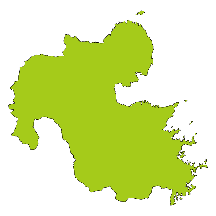 大分県の地図（詳細版・リアル）のイラスト【色あり、背景なし】透過PNG