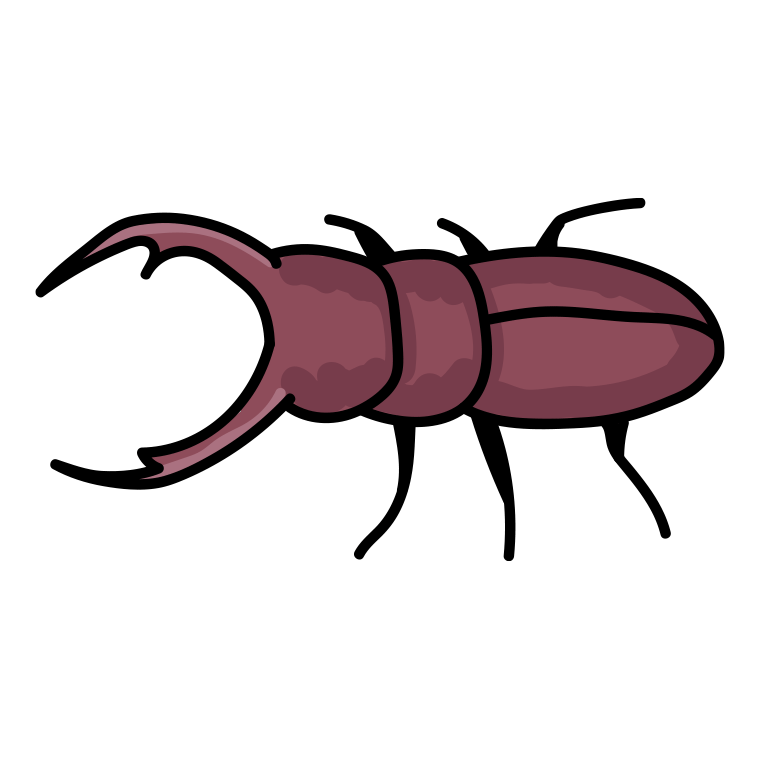 クワガタムシのイラスト【色あり、背景なし】透過PNG