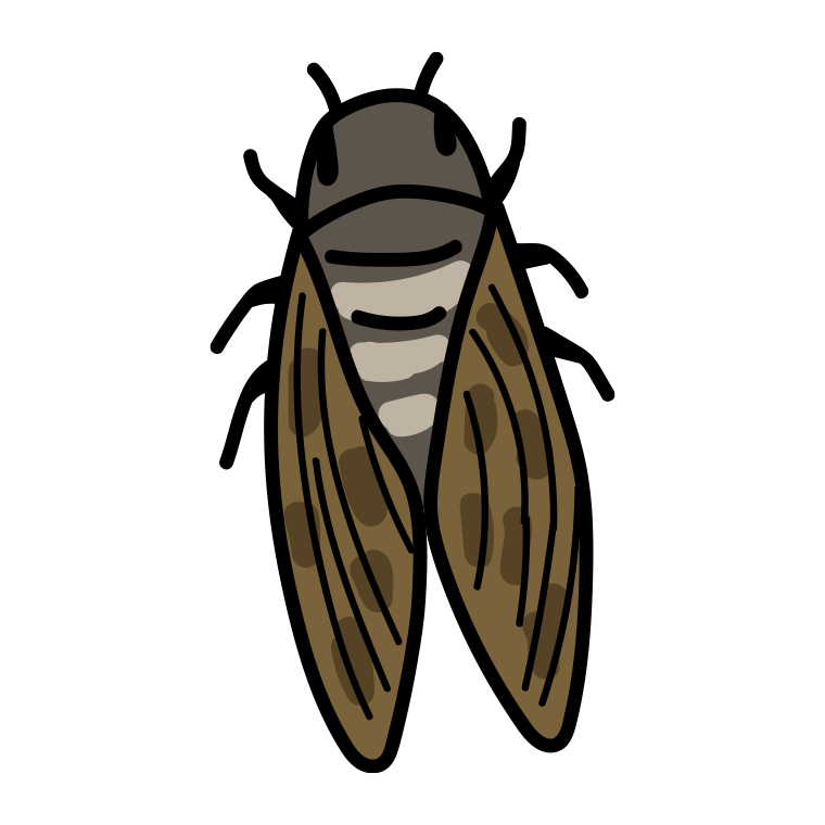 セミのイラスト【色あり、背景なし】透過PNG