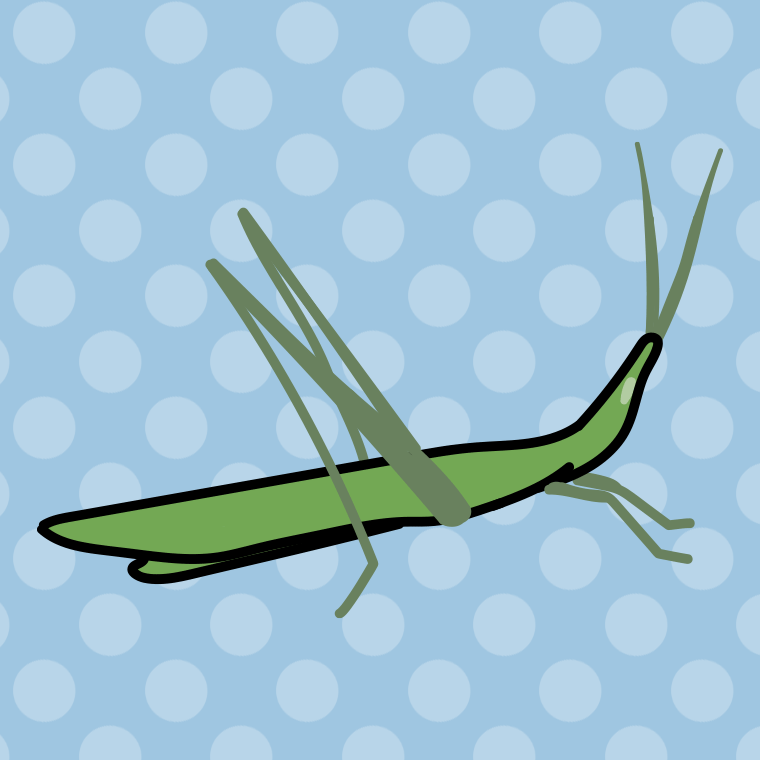 ショウリョウバッタのイラスト【色、背景あり】PNG
