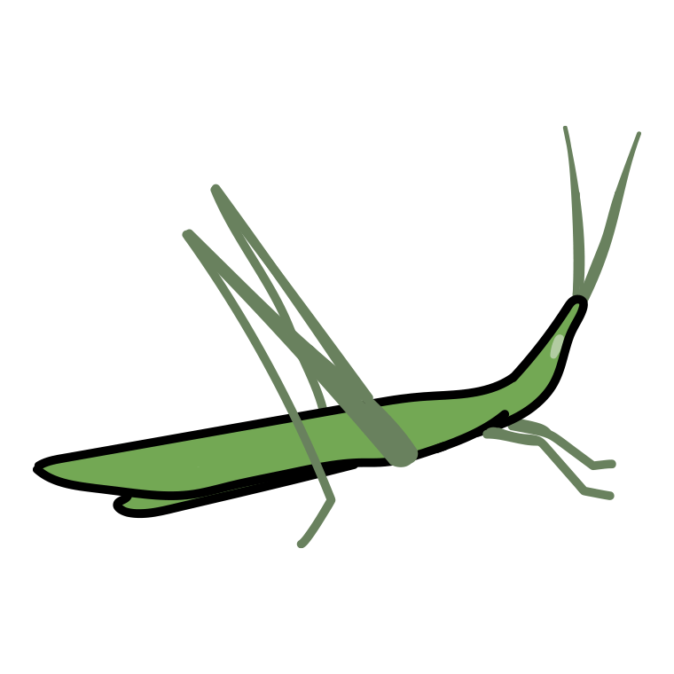 ショウリョウバッタのイラスト【色あり、背景なし】透過PNG