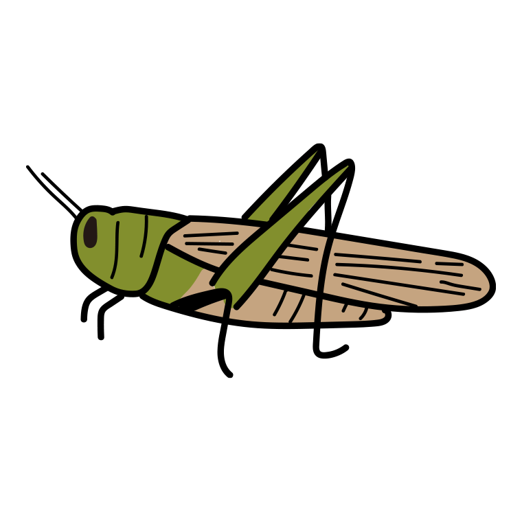 トノサマバッタのイラスト【色あり、背景なし】透過PNG