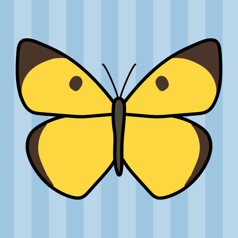 モンキチョウのイラスト【色、背景あり】PNG