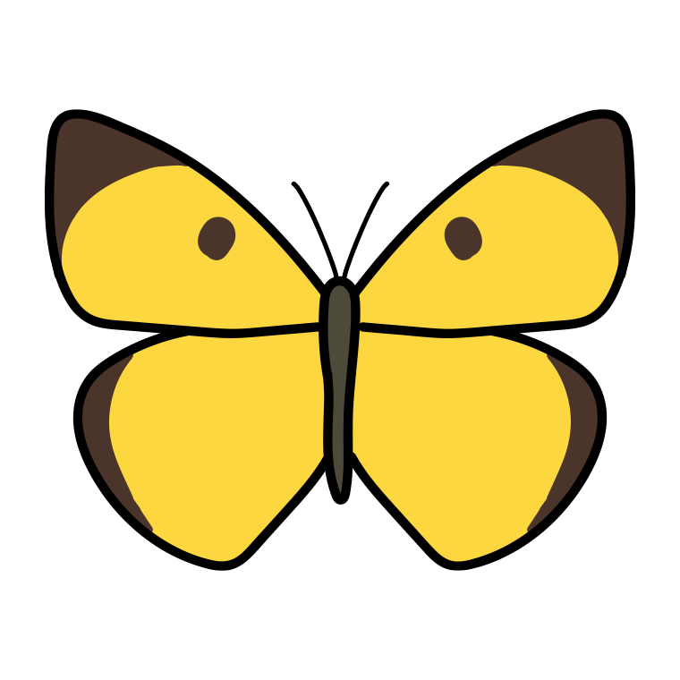 モンキチョウのイラスト【色あり、背景なし】透過PNG