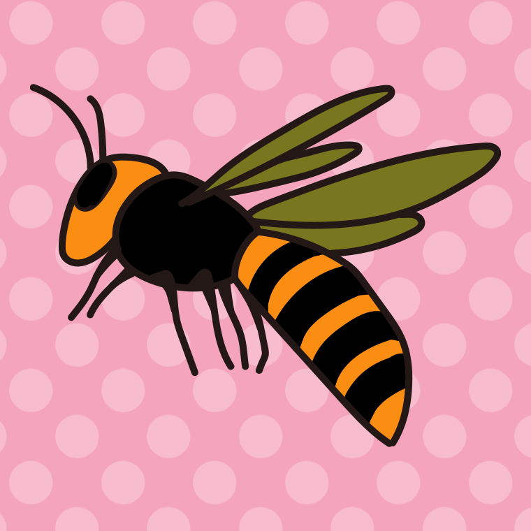 スズメバチのイラスト【色、背景あり】PNG