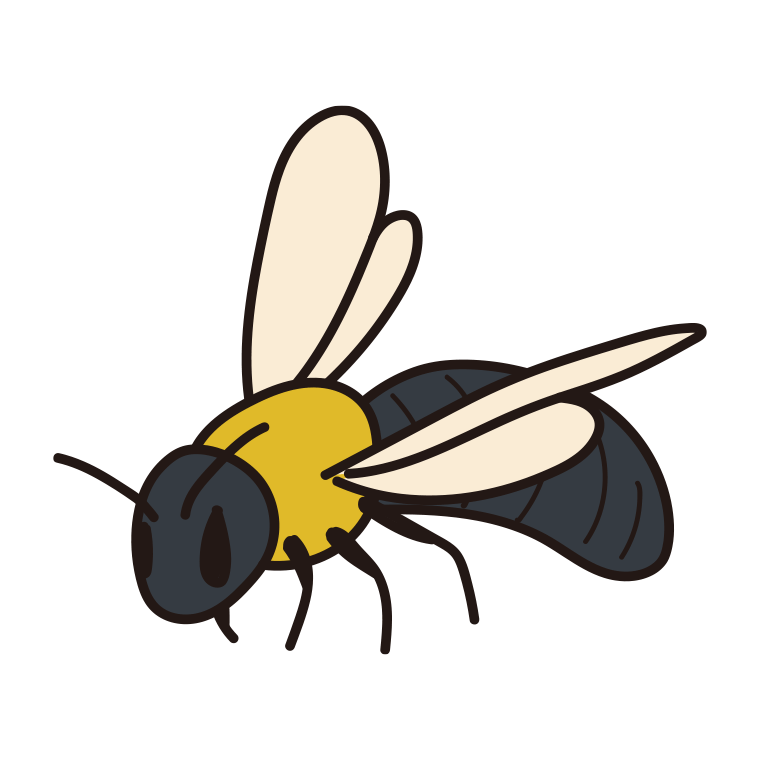 クマバチのイラスト【色あり、背景なし】透過PNG