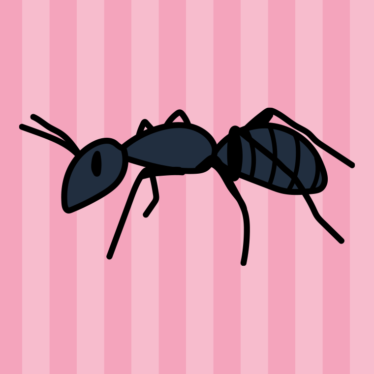 アリのイラスト【色、背景あり】PNG