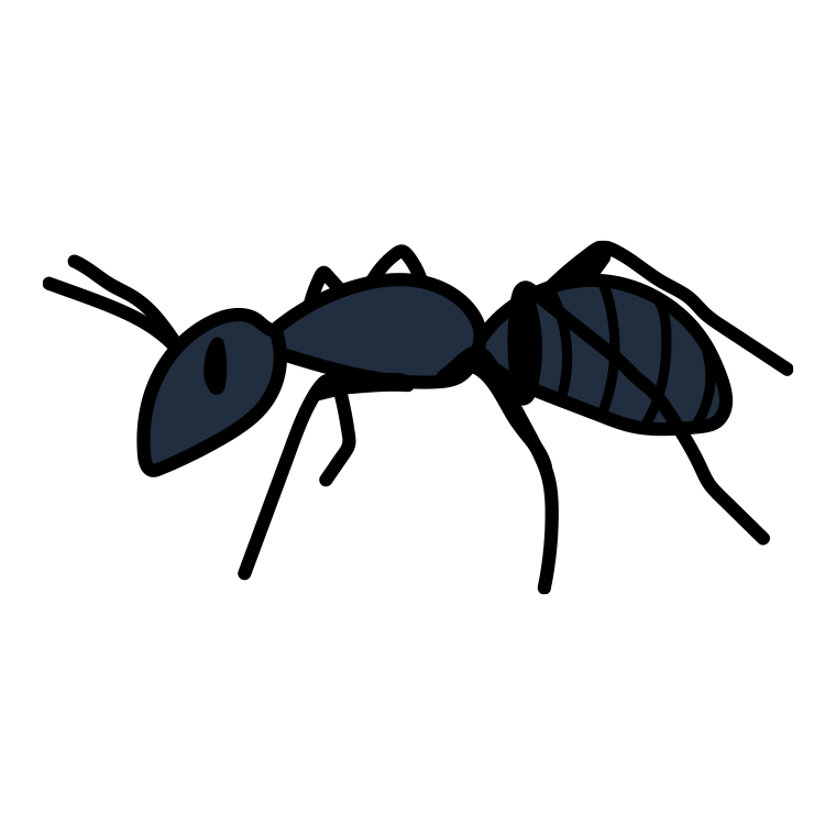 アリのイラスト【色あり、背景なし】透過PNG