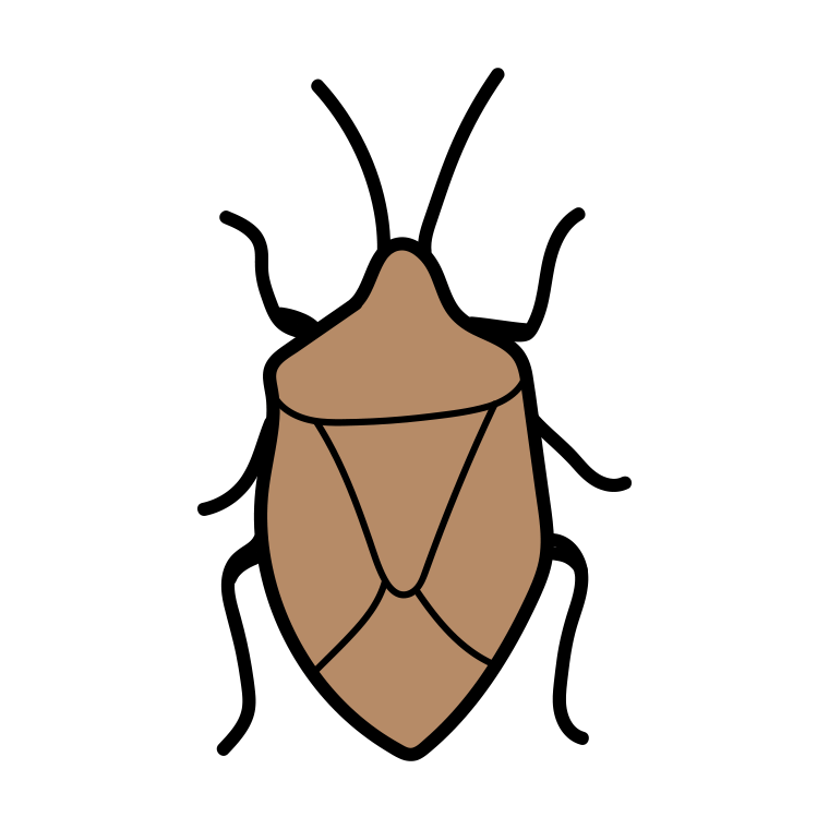 カメムシのイラスト【色あり、背景なし】透過PNG