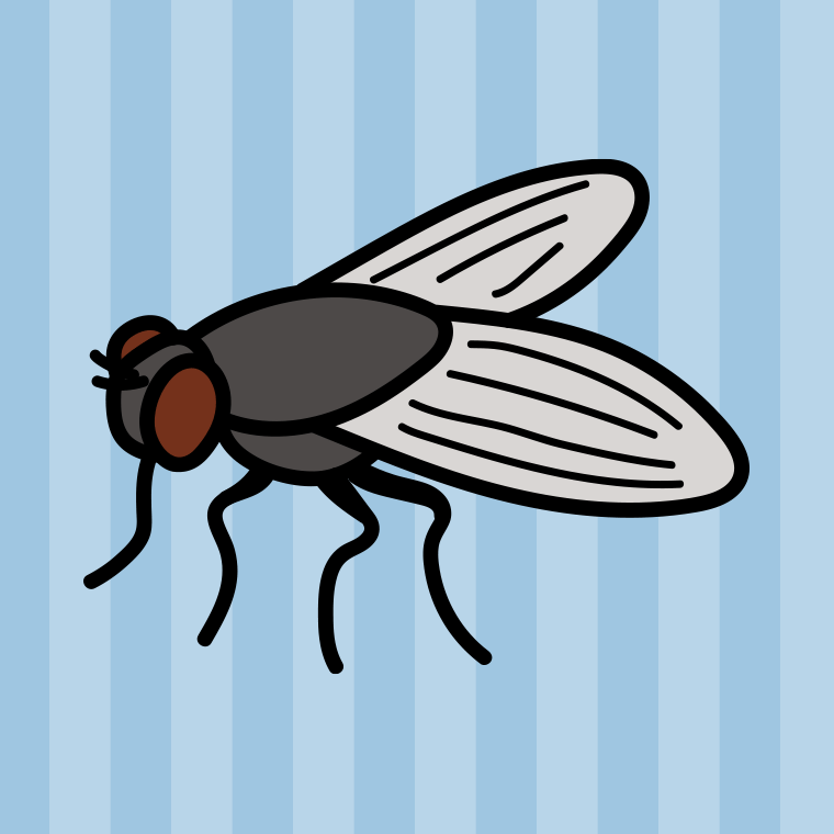ハエのイラスト【色、背景あり】PNG