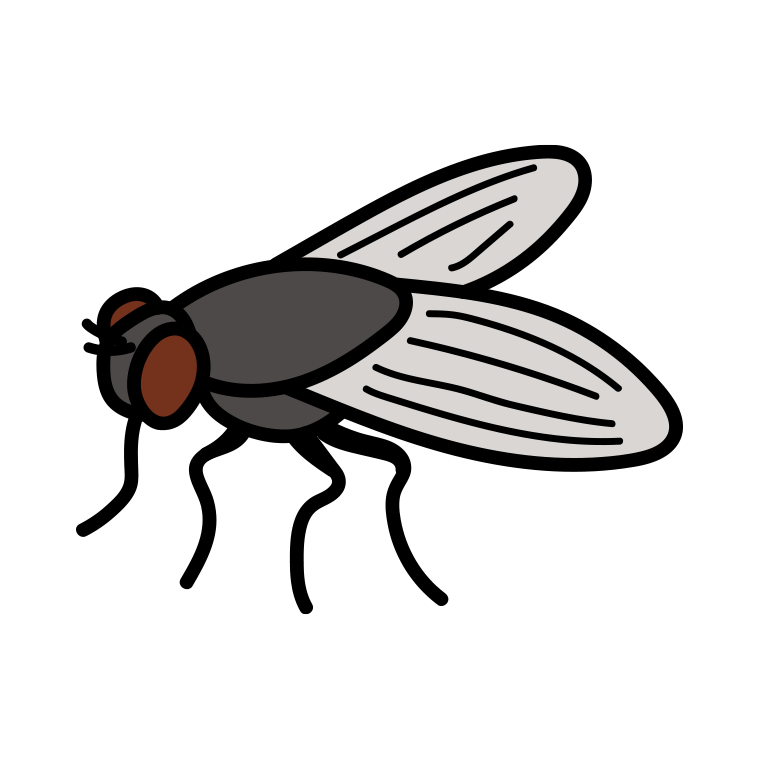 ハエのイラスト【色あり、背景なし】透過PNG