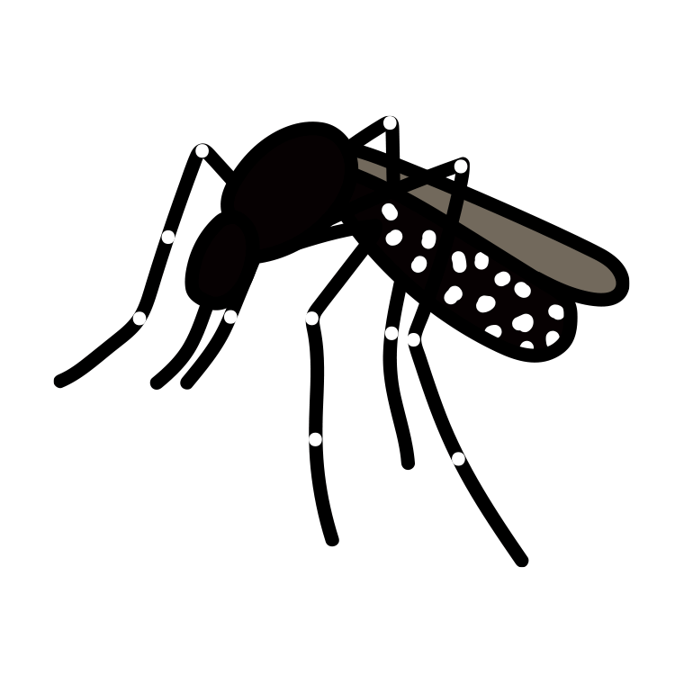 蚊のイラスト【色あり、背景なし】透過PNG