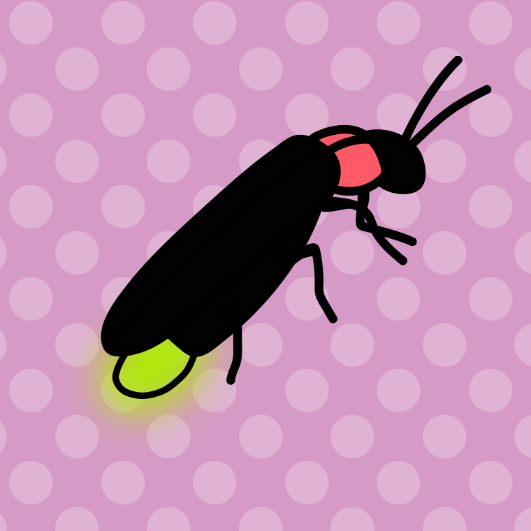 ホタルのイラスト【色、背景あり】PNG
