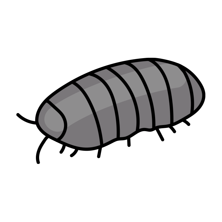 ダンゴムシのイラスト【色あり、背景なし】透過PNG