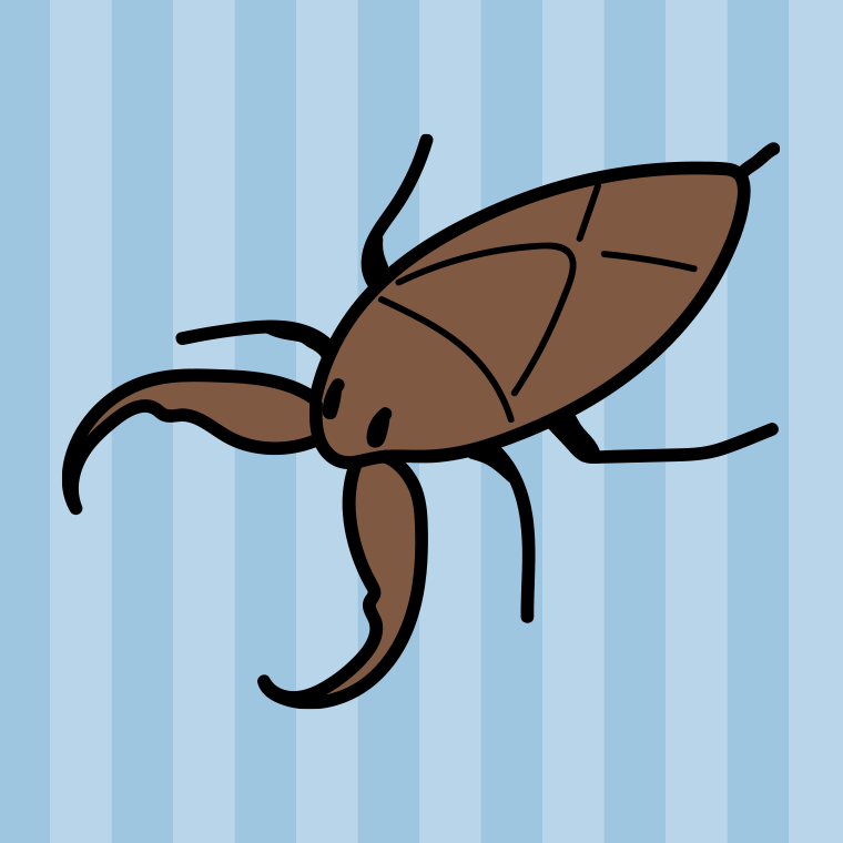 タガメのイラスト【色、背景あり】PNG