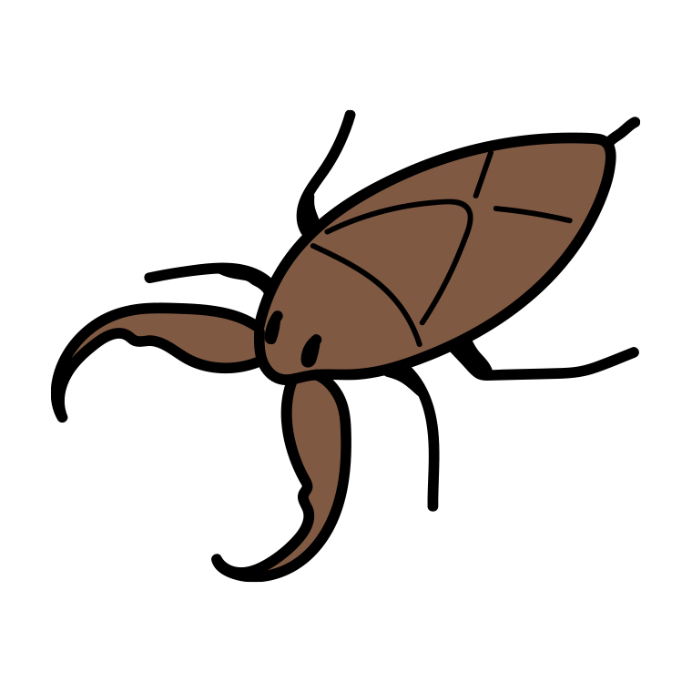 タガメのイラスト【色あり、背景なし】透過PNG