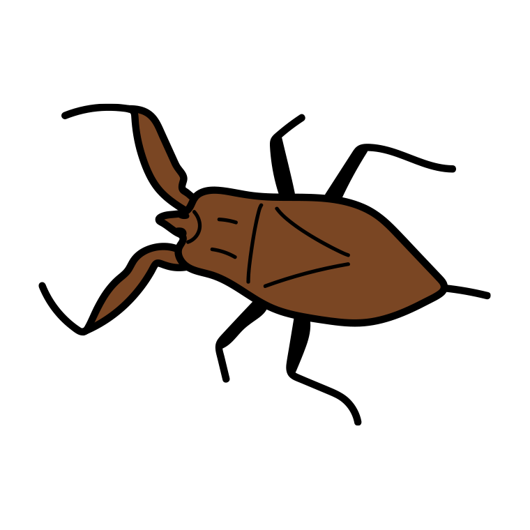 タイコウチのイラスト【色あり、背景なし】透過PNG