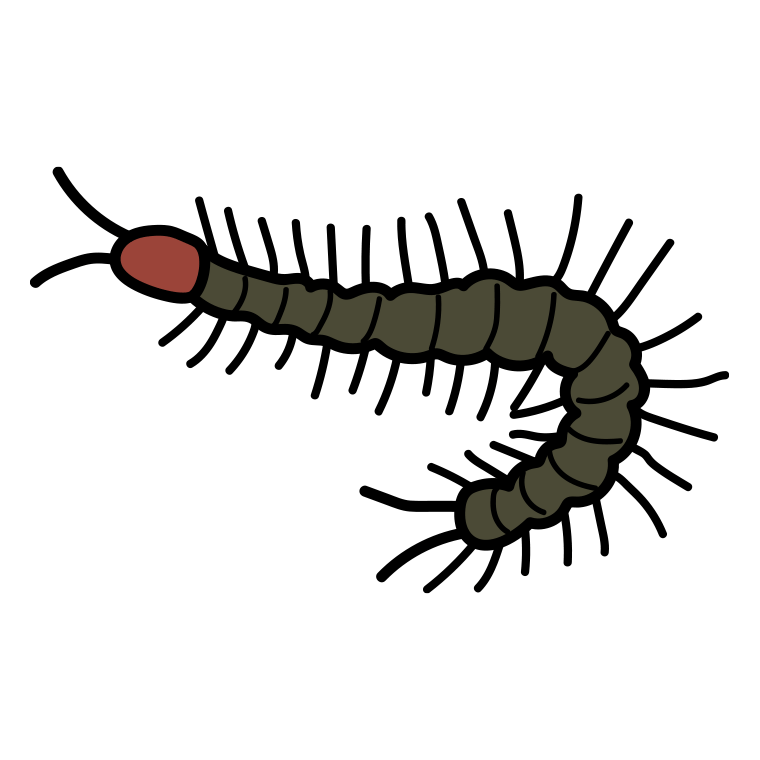 ムカデのイラスト【色あり、背景なし】透過PNG