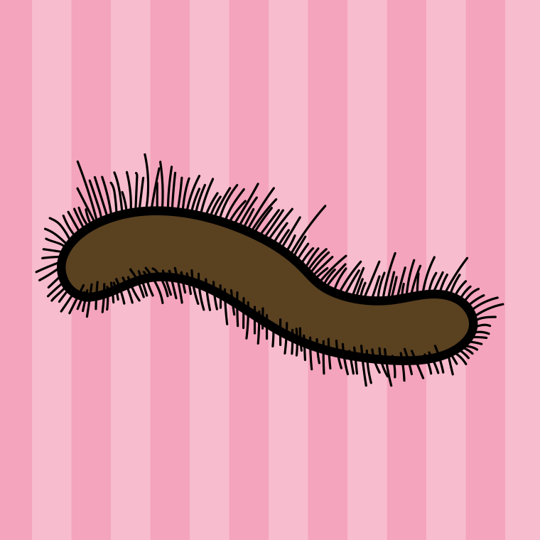 ケムシのイラスト【色、背景あり】PNG