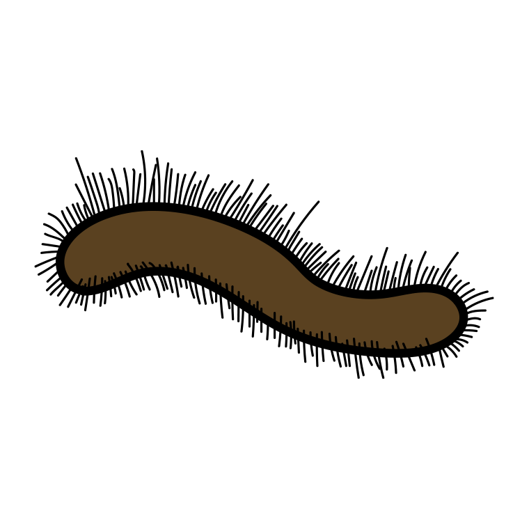 ケムシのイラスト【色あり、背景なし】透過PNG