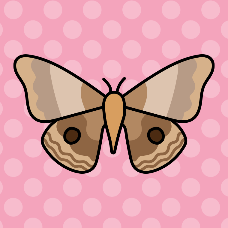 蛾のイラスト【色、背景あり】PNG