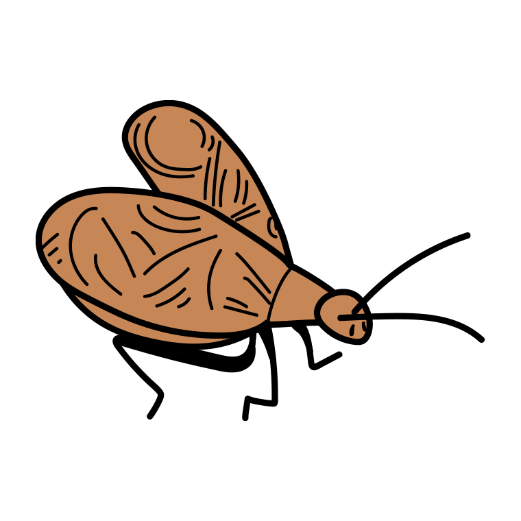 マツムシのイラスト【色あり、背景なし】透過PNG