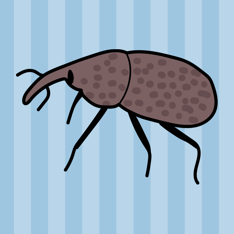 ゾウムシのイラスト【色、背景あり】PNG