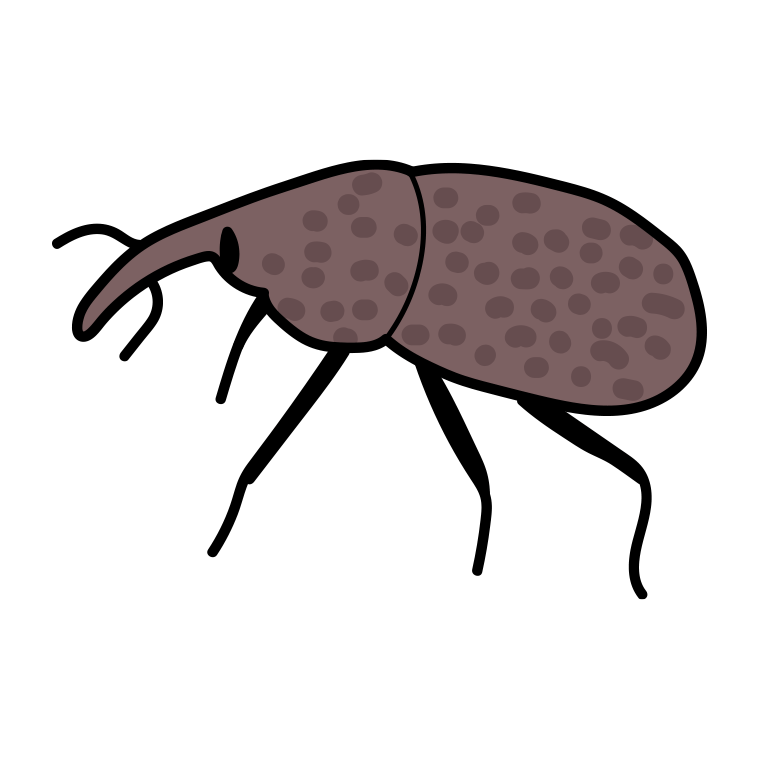 ゾウムシのイラスト【色あり、背景なし】透過PNG