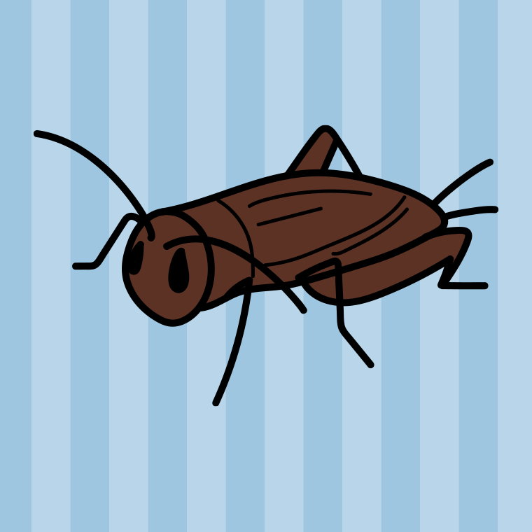 コオロギのイラスト【色、背景あり】PNG