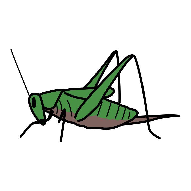 キリギリスのイラスト【色あり、背景なし】透過PNG