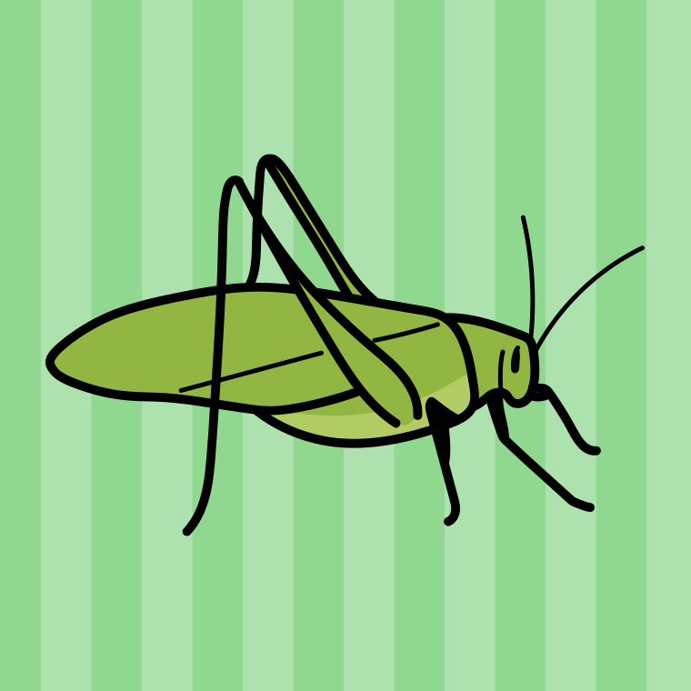 クツワムシのイラスト【色、背景あり】PNG