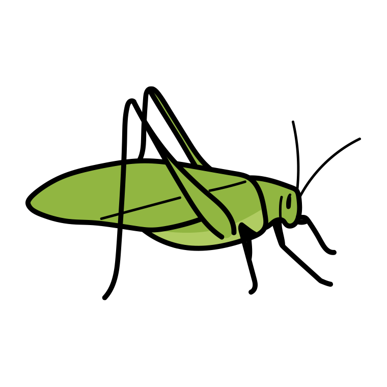 クツワムシのイラスト【色あり、背景なし】透過PNG