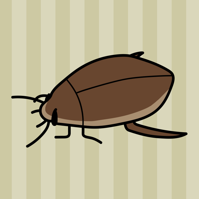 ゲンゴロウのイラスト【色、背景あり】PNG