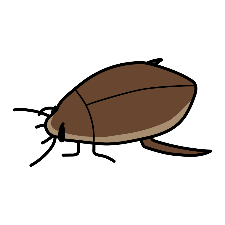 ゲンゴロウのイラスト【色あり、背景なし】透過PNG