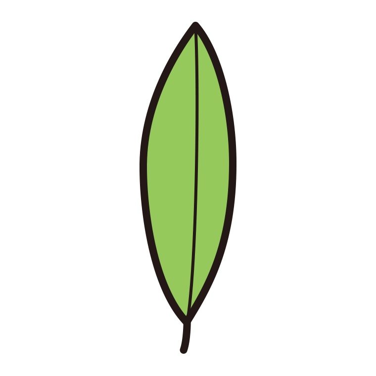 葉っぱのイラスト18（長楕円形・標準）【色あり、背景なし】透過PNG