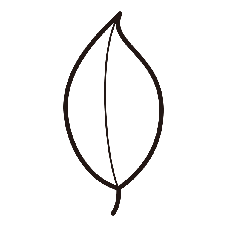葉っぱのイラスト02（卵形・先端とがり）【線のみ】透過PNG