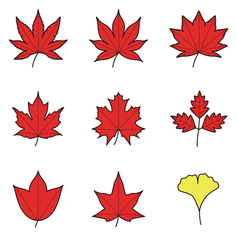 紅葉の葉っぱのイラスト・アイコンセット（9種）【色あり、背景なし】透過PNG