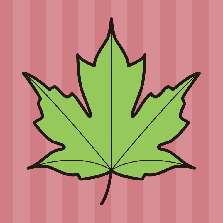 紅葉の葉っぱ（緑色）のイラスト04（クロビイタヤ）【色、背景あり】PNG