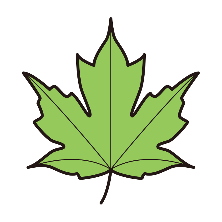 紅葉の葉っぱ（緑色）のイラスト04（クロビイタヤ）【色あり、背景なし】透過PNG
