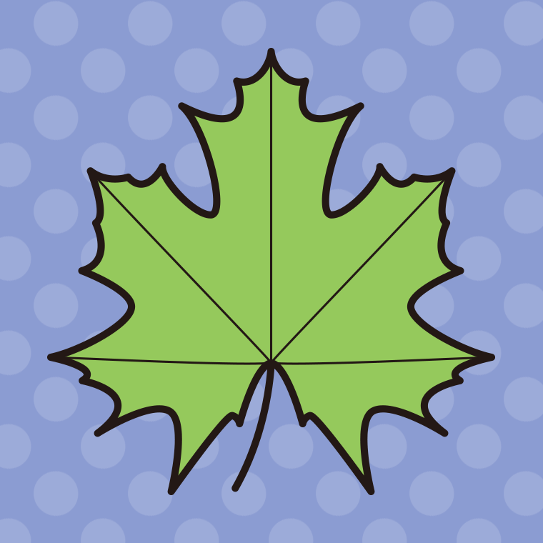 紅葉の葉っぱ（緑色）のイラスト05（サトウカエデ・カナダ国旗）【色、背景あり】PNG