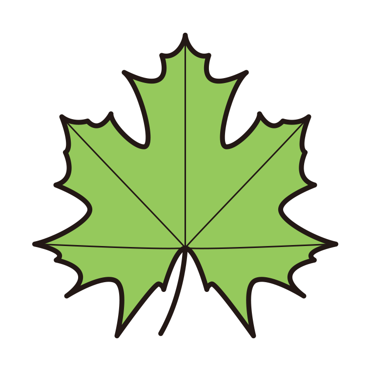 紅葉の葉っぱ（緑色）のイラスト05（サトウカエデ・カナダ国旗）【色あり、背景なし】透過PNG